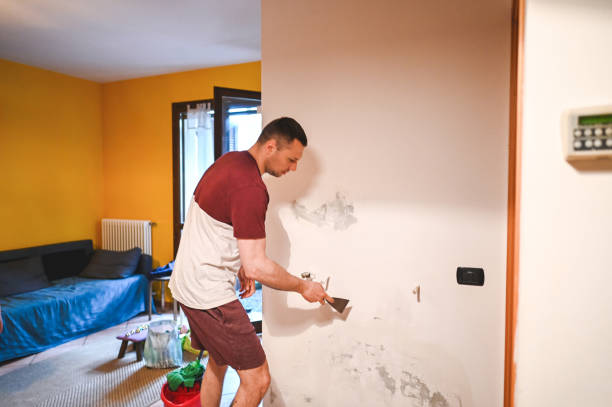 Best Mold Remediation  in Joliet, IL